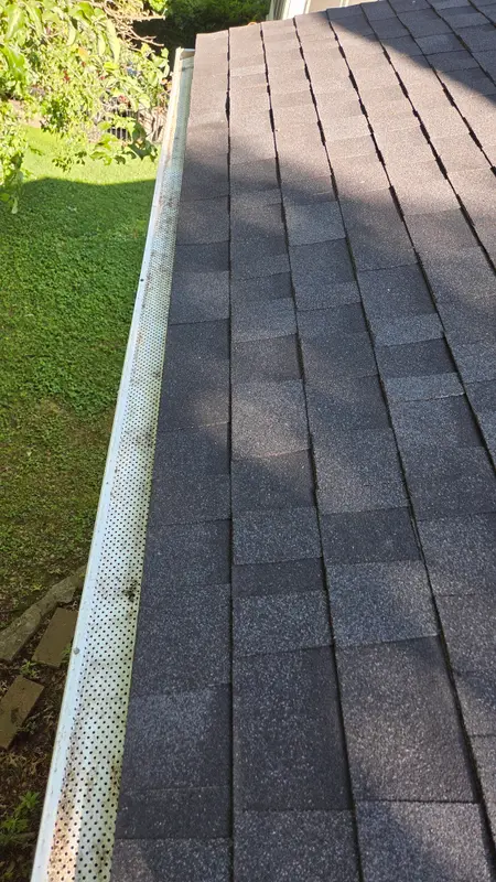 A perforated gutter guard along a shingle roof edge with the leaves and debris cleared off.