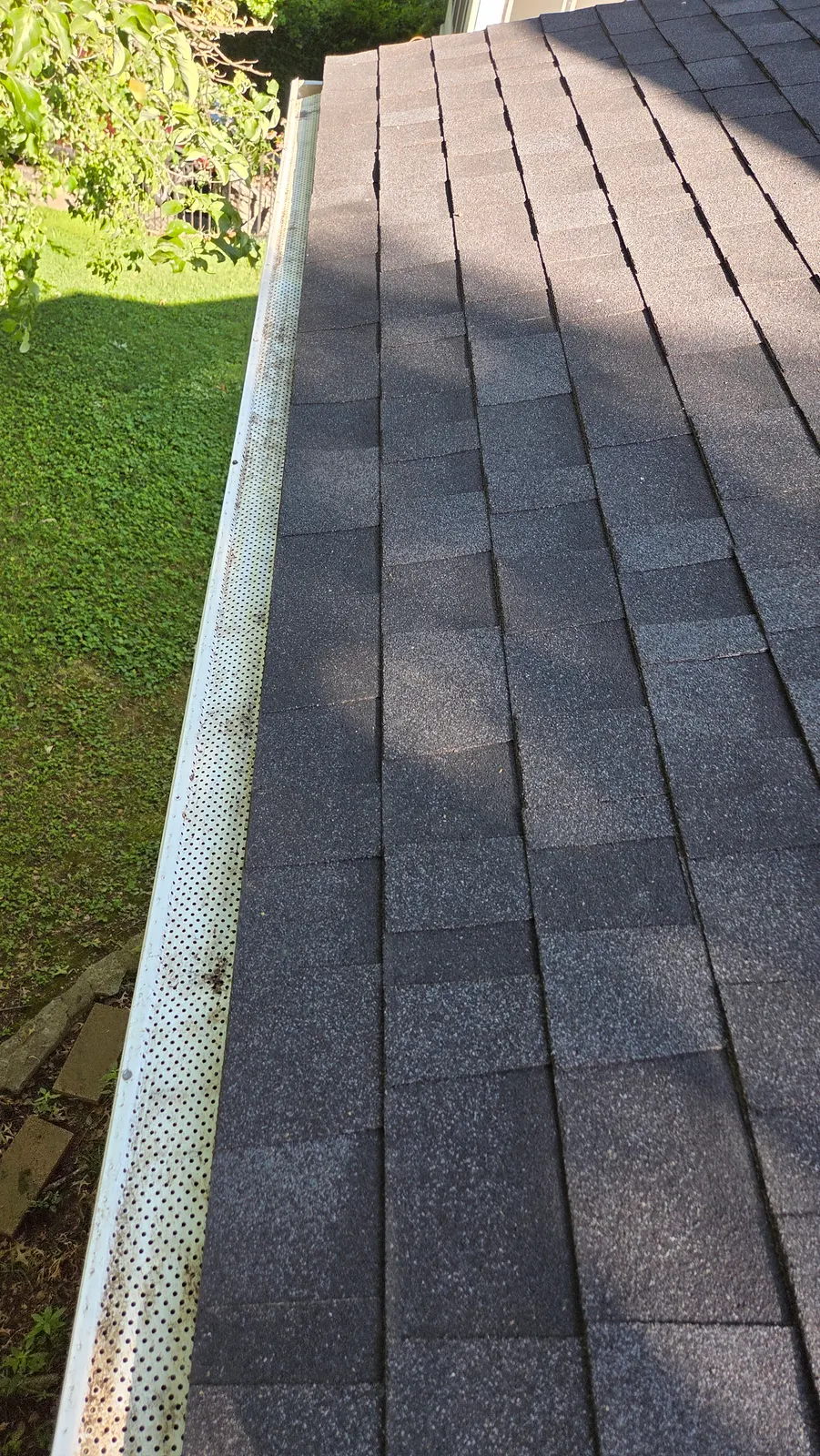 A perforated gutter guard along a shingle roof edge with the leaves and debris cleared off.