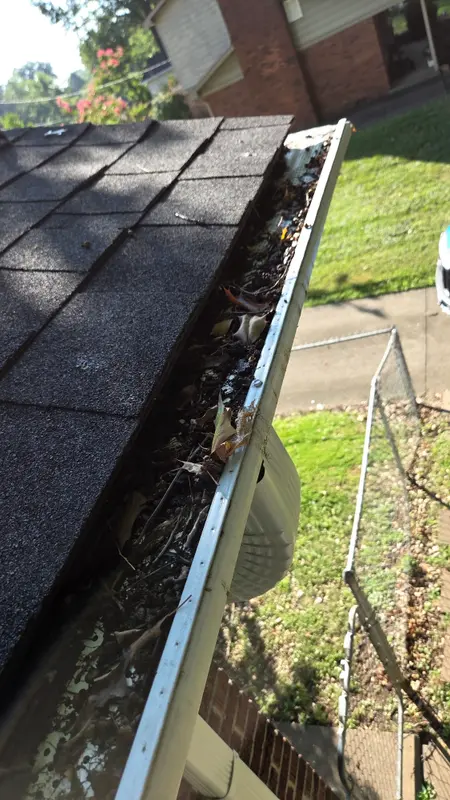 A gutter full of leaves, twigs and standing debris along the edge of a dark shingle roof.