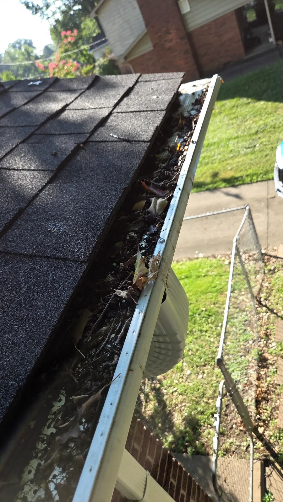 A gutter full of leaves, twigs and standing debris along the edge of a dark shingle roof.