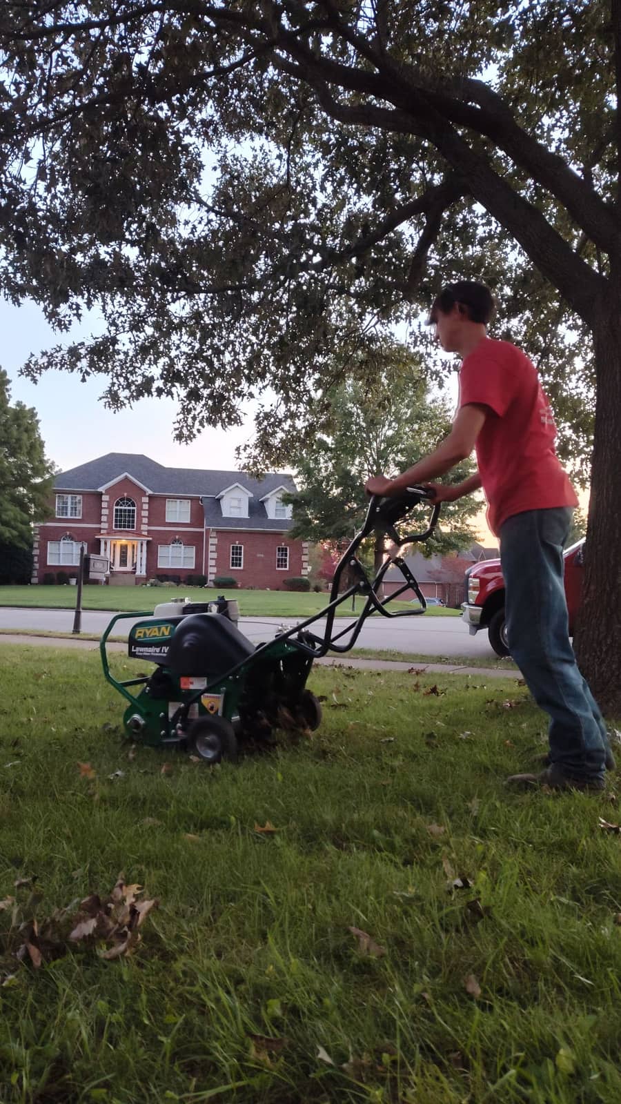 Freshly core-aerated lawn with soil plugs visible after professional Elite Exteriors lawn aeration service
