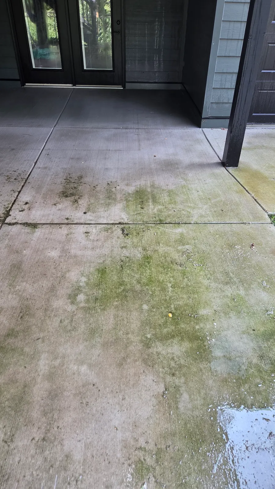 Covered concrete patio in front of French doors with patches of green algae and dirt across the slab.