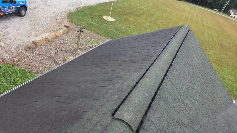 A shingle roof ridge with heavy dark streaking across the slope, above a lawn and gravel drive.