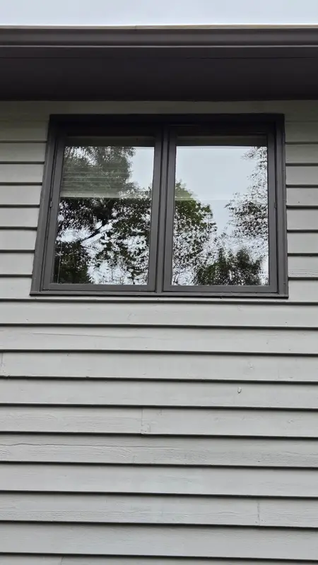 A brown-framed double window on gray lap siding with clear glass reflecting tree branches.