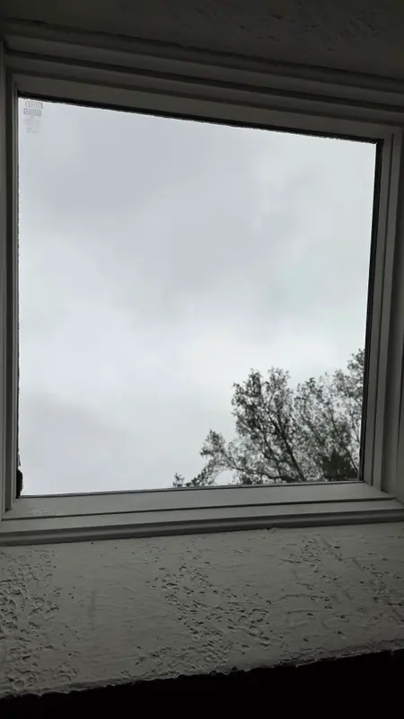 A skylight seen from inside with clear, spotless glass and a view of the sky and treetops.