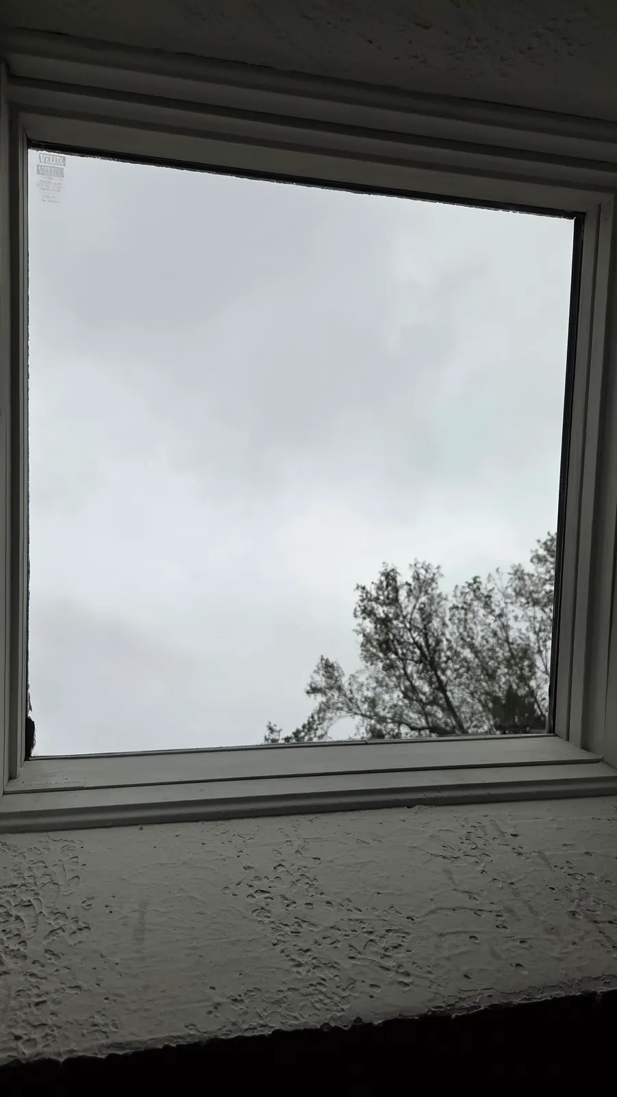 A skylight seen from inside with clear, spotless glass and a view of the sky and treetops.