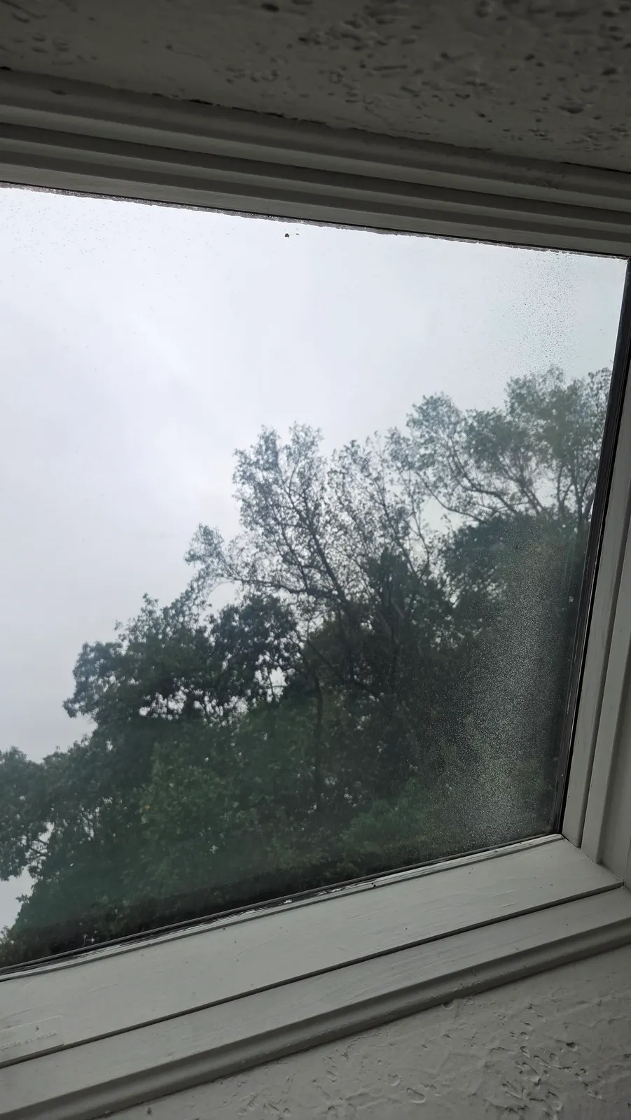 A skylight seen from inside with water spots and a dirty film across the glass.